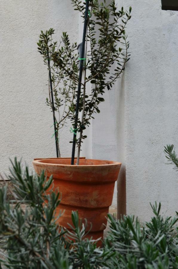 ספליט Apartman Roguljic מראה חיצוני תמונה